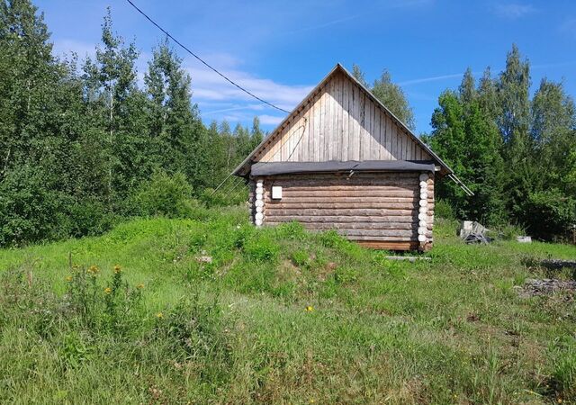 сельское поселение Нифантовское, Шексна фото