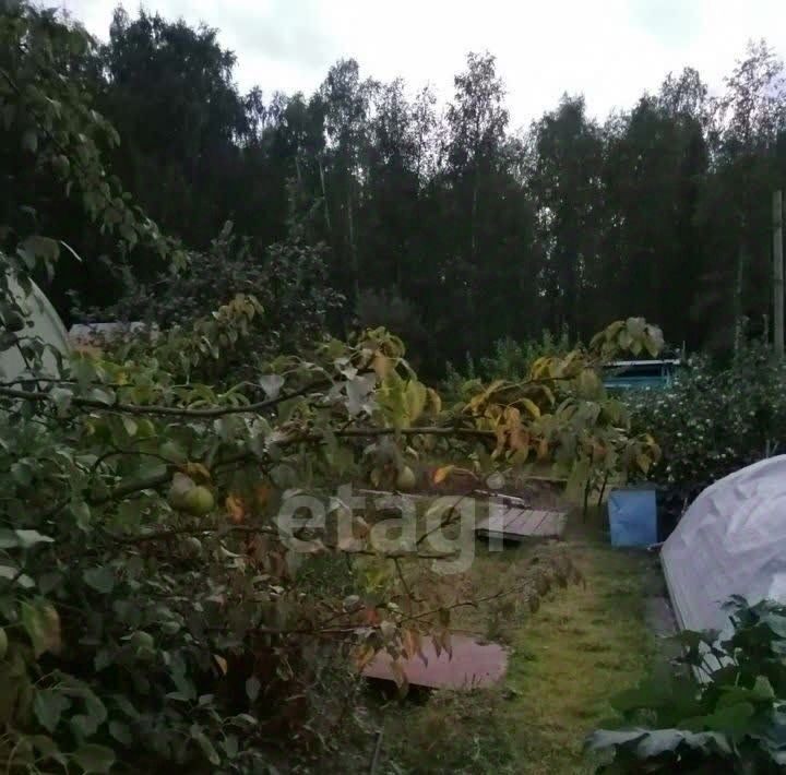 земля г Нижний Тагил р-н Ленинский снт Старатель-3 фото 10