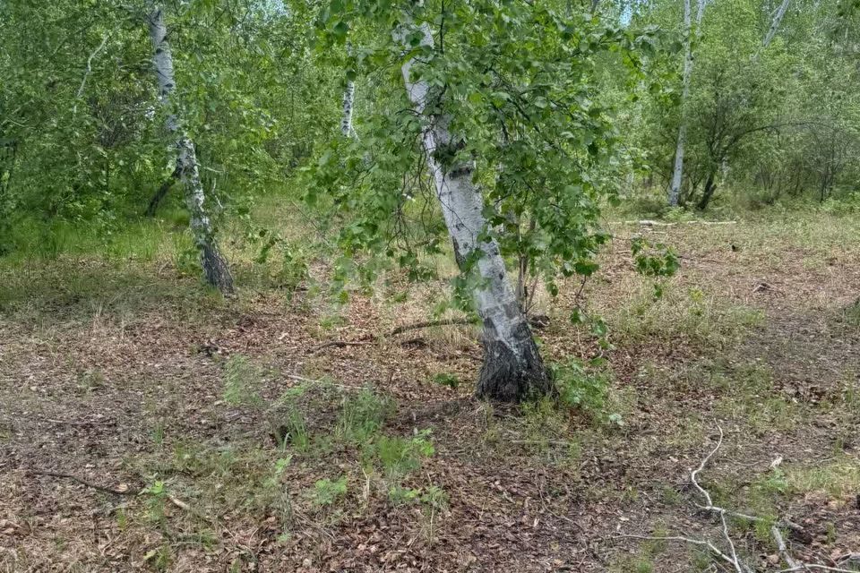 земля городской округ Якутск, Республика Саха Якутия, село Владимировка фото 2