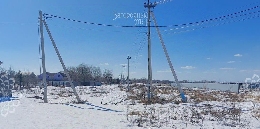 земля городской округ Богородский д Каменки-Дранишниково 21Б фото 3