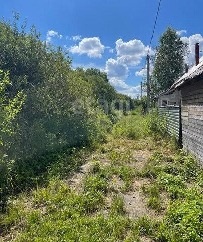 Дмитровский городской округ, СНТ Надежда-М фото