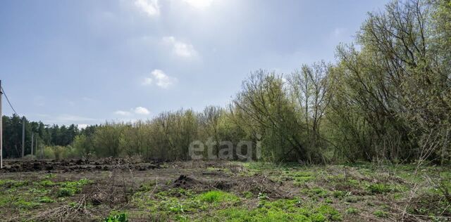 ул Центральная фото