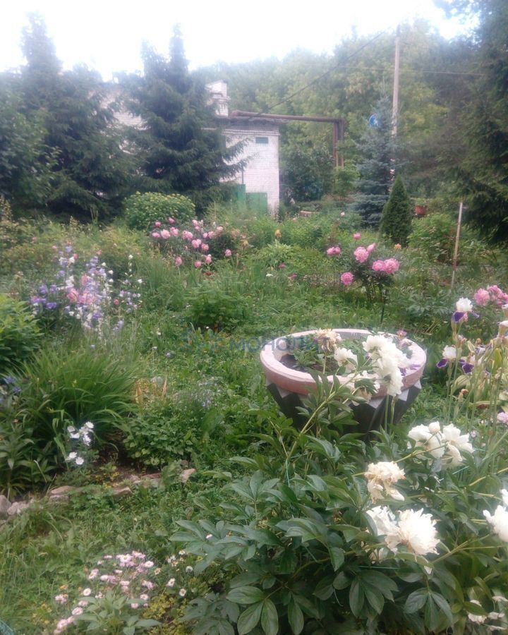квартира г Нижний Новгород р-н Московский Буревестник ул Чаадаева 15 фото 33