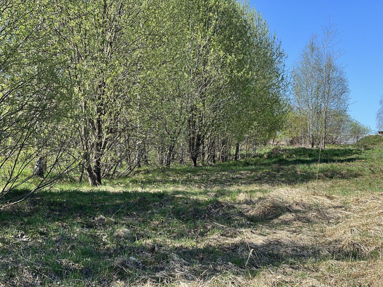 земля городской округ Дмитровский д Шихово 60, Солнечногорск фото 13