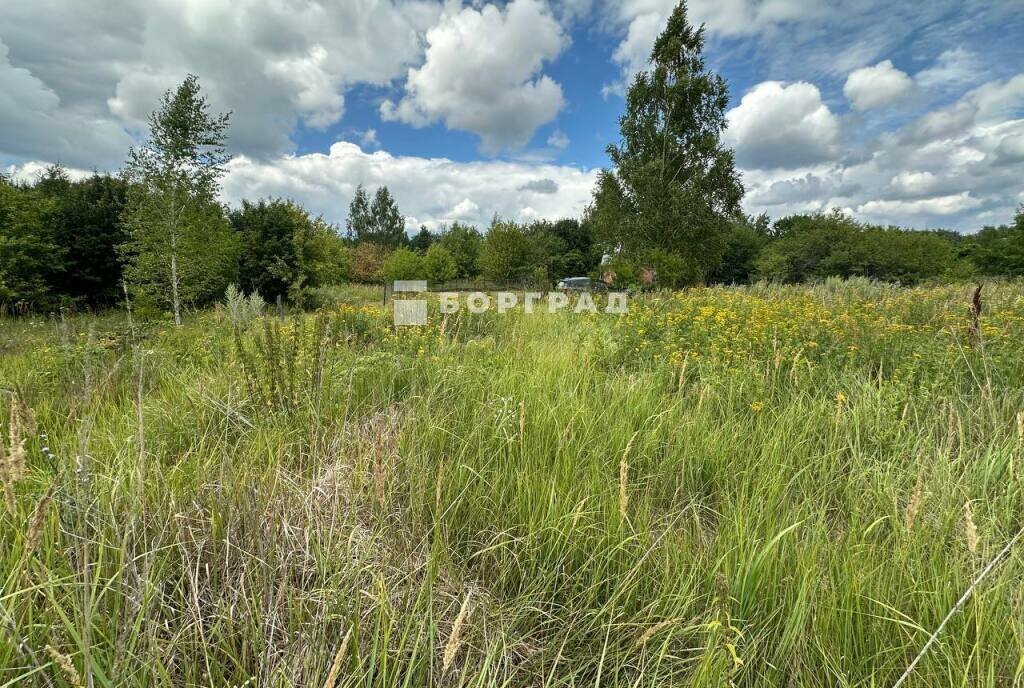 земля Рамонское городское поселение, СНТ Поляна фото 7