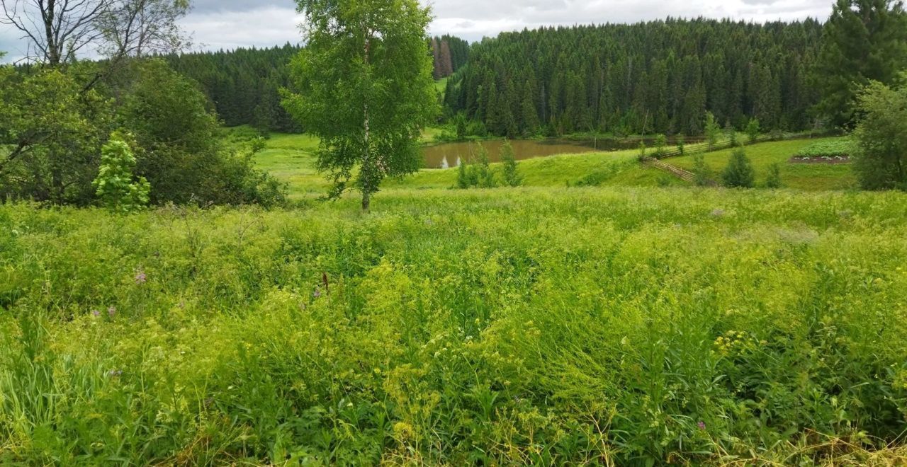 земля р-н Балезинский с Люк ул Советская Балезино фото 3