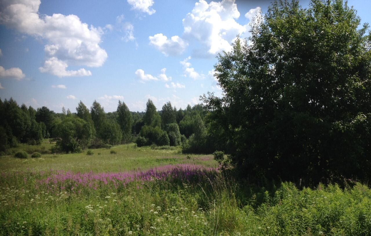 земля р-н Окуловский д Смёново Угловское городское поселение, Окуловка фото 2