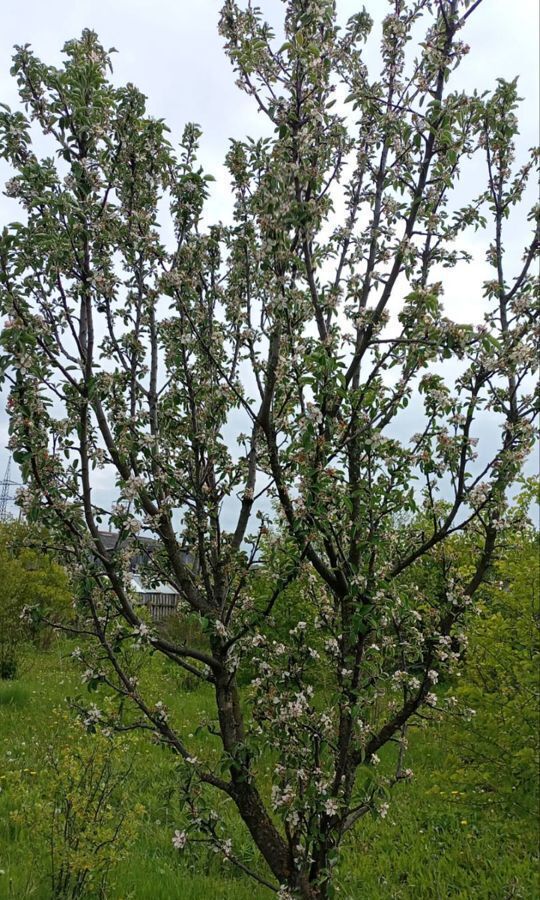 дом р-н Барышский г Барыш ул Механизаторов 42 Барышское городское поселение фото 34