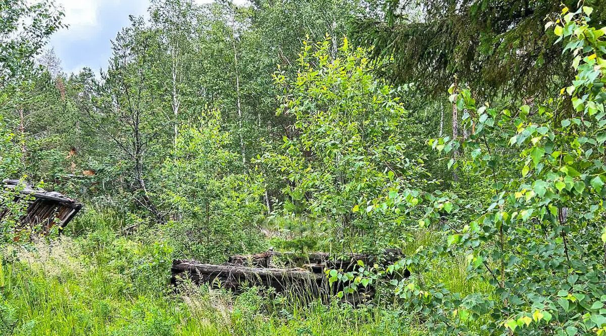 земля г Екатеринбург снт Русь Режевской городской округ фото 13