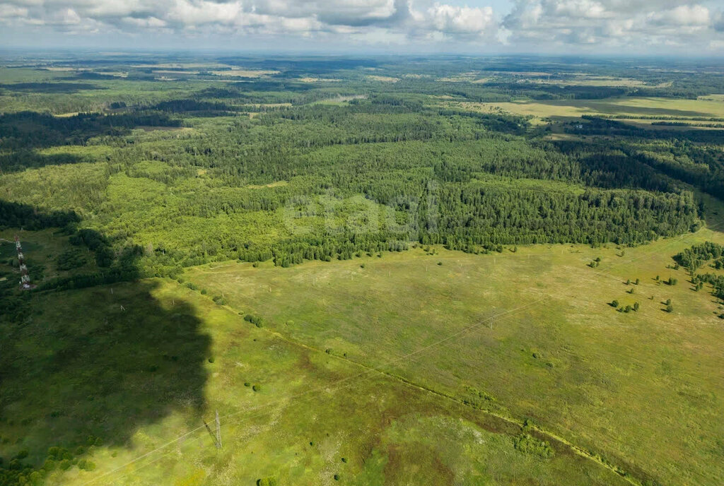 земля городской округ Волоколамский д Рысиха фото 4