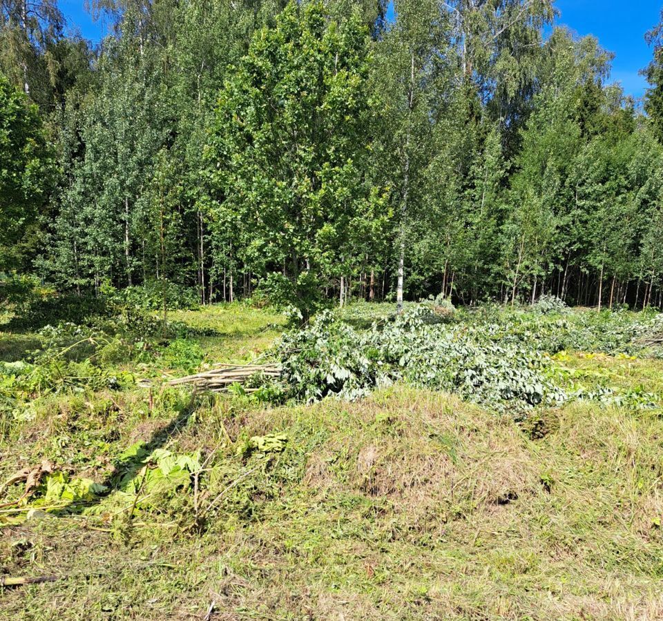 земля городской округ Пушкинский п Софрино 33 км, СДТ Хлопенево, Дмитровское шоссе фото 6