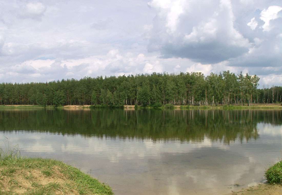 земля городской округ Орехово-Зуевский д Гора снт Гора-89 493, Ликино-Дулево фото 1