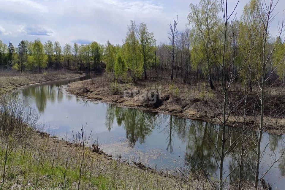 земля р-н Слободо-Туринский деревня Ермолина фото 4