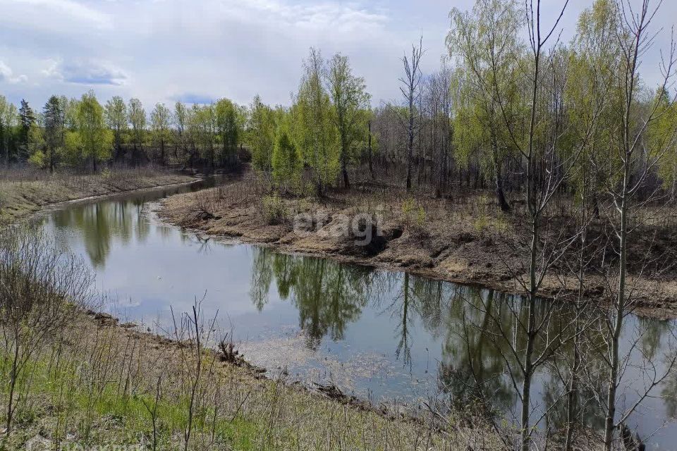 земля р-н Слободо-Туринский деревня Ермолина фото 4