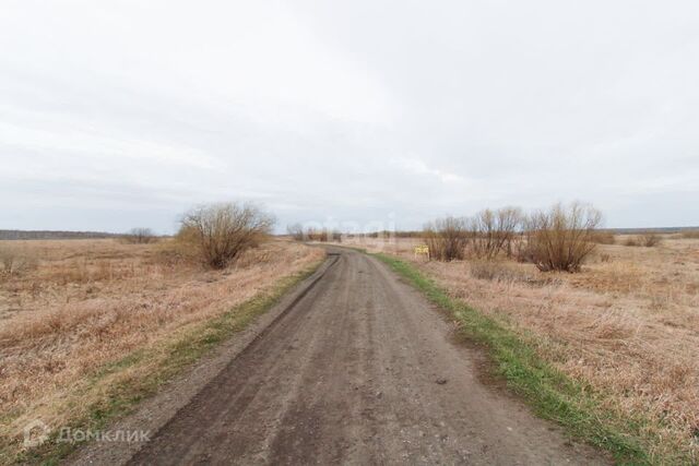 село Туринская Слобода фото