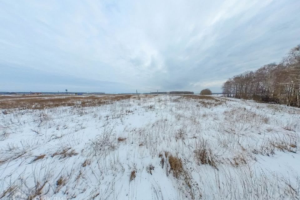 земля р-н Нижнетавдинский деревня Малый Хутор, улица Мира фото 2