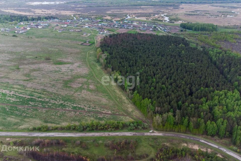 земля р-н Тюменский село Салаирка фото 4