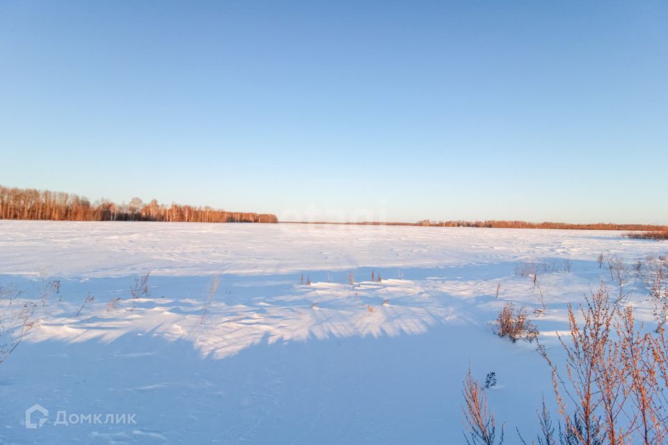 земля р-н Тюменский село Горьковка фото 3