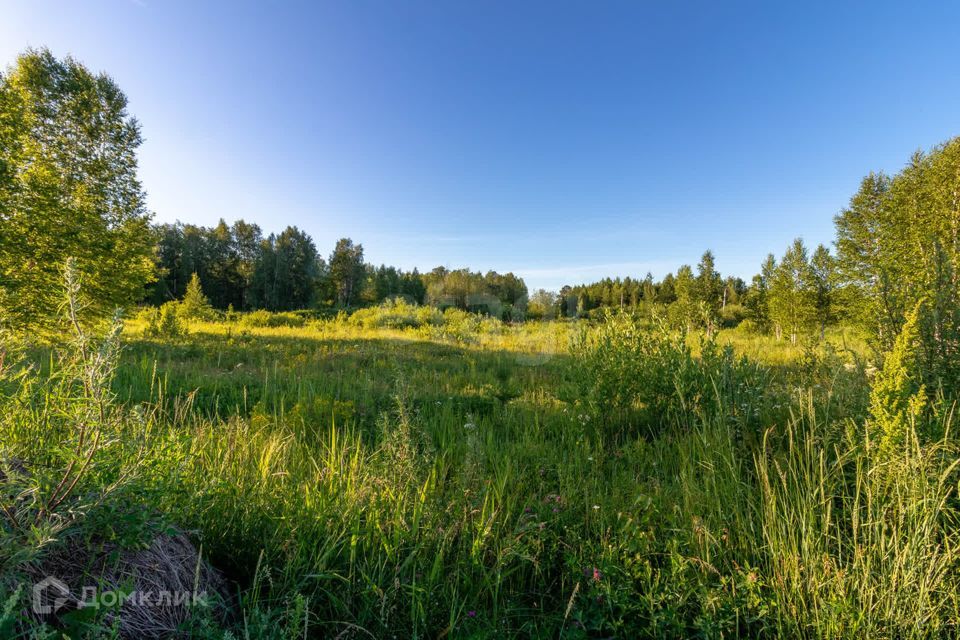 земля р-н Нижнетавдинский ДНП Журавли фото 6