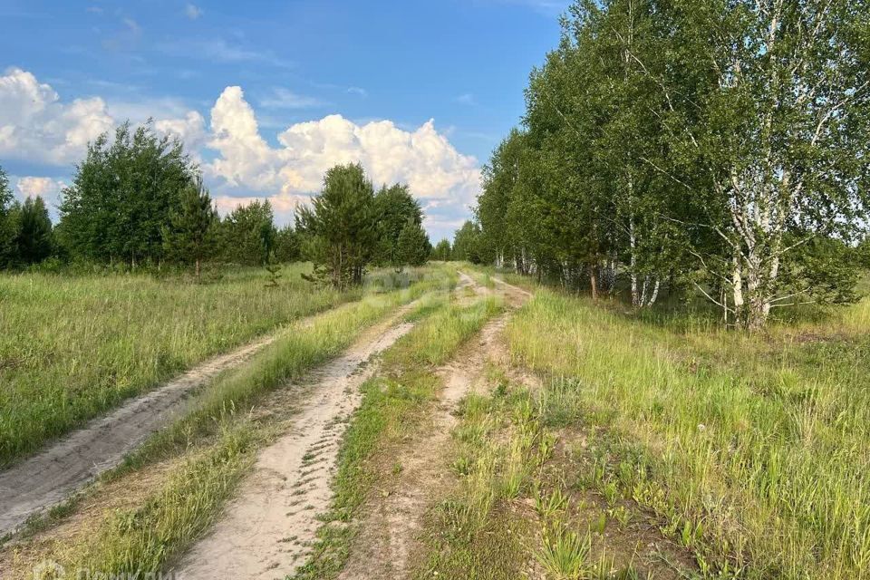 земля р-н Тюменский село Салаирка фото 9