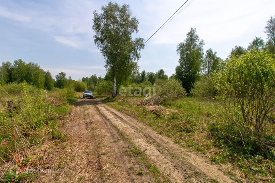 земля р-н Нижнетавдинский ДНТ Сочинское фото 7