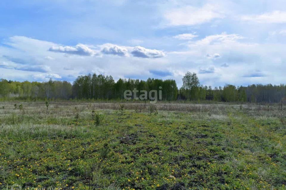 земля р-н Слободо-Туринский деревня Ермолина фото 4