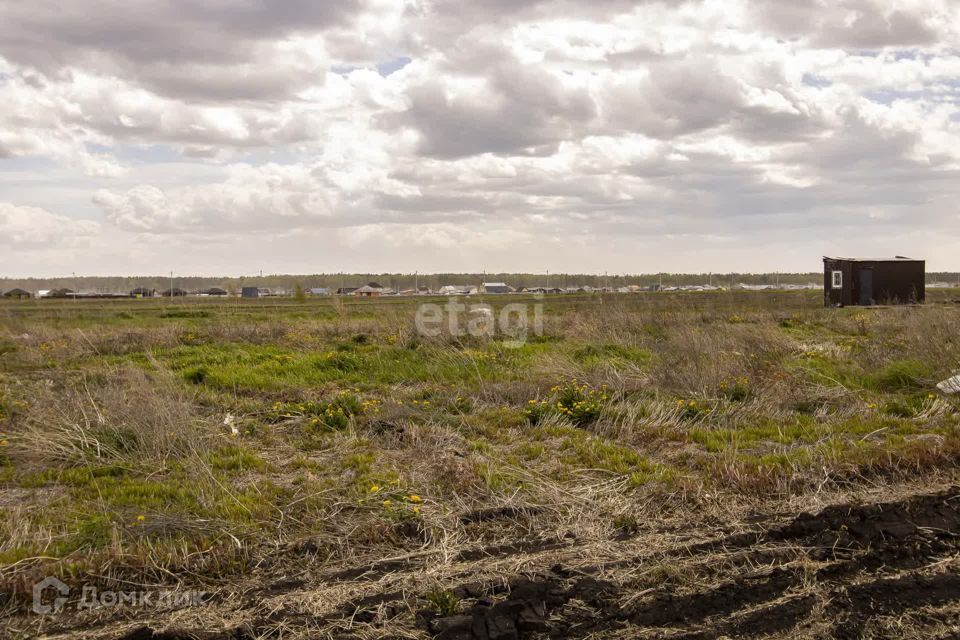 земля р-н Тюменский ДНТ Воскресенье-1 фото 6