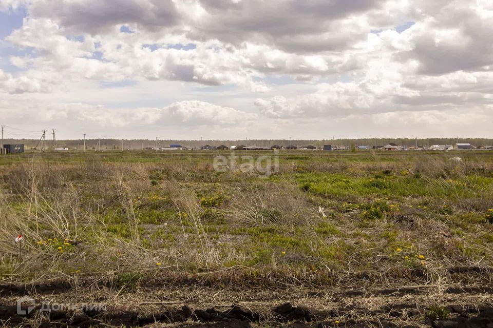 земля р-н Тюменский ДНТ Воскресенье-1 фото 7