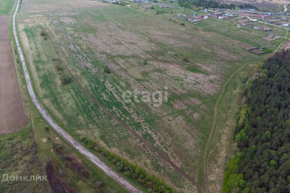 земля р-н Тюменский село Салаирка фото 8