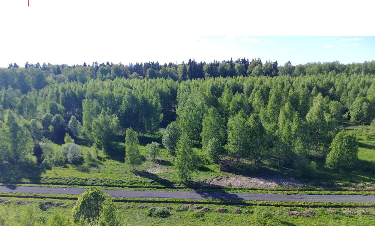 земля городской округ Солнечногорск коттеджный пос. Семейный Истра фото 7