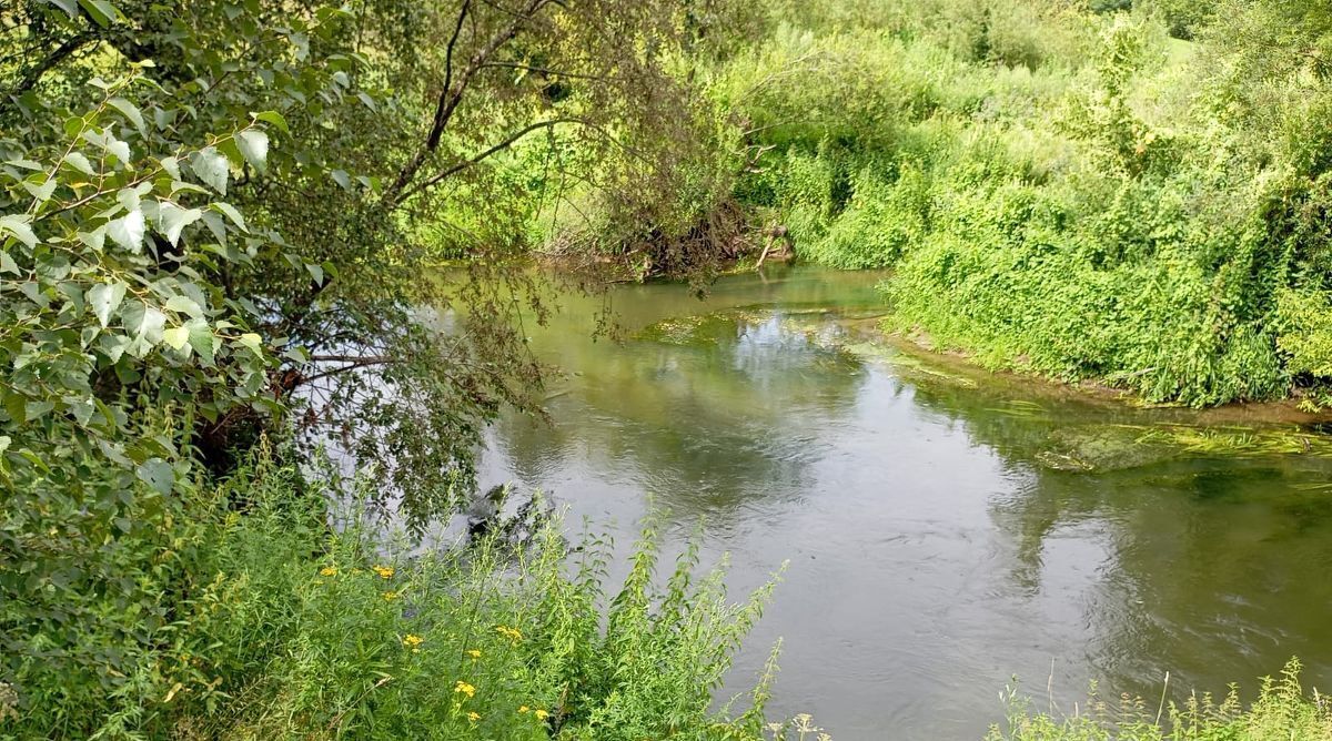 земля городской округ Пушкинский д Лепёшки фото 1