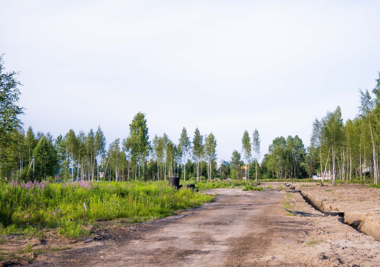 земля р-н Кировский г Шлиссельбург Шлиссельбургское городское поселение фото 25