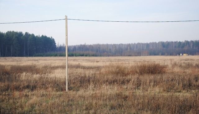 земля городской округ Дмитровский с Рогачево садовые участки фото 1