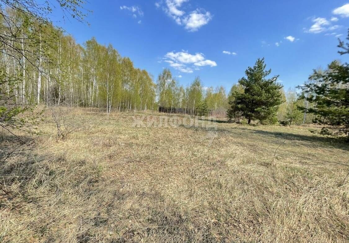 земля городской округ Орехово-Зуевский садовое товарищество Три Сестры, Орехово-Зуево фото 3