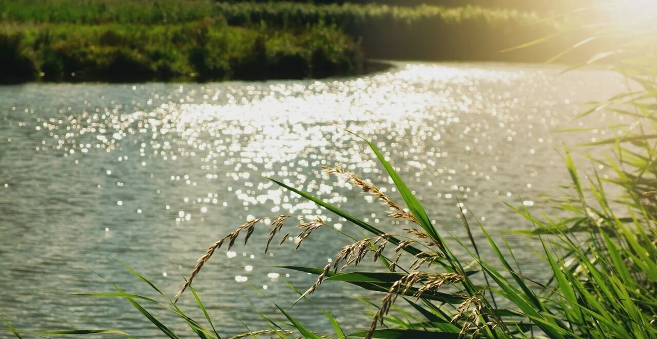 квартира г Колпино ул Загородная 71 ЖК «Квартал Заречье» лит. А фото 6