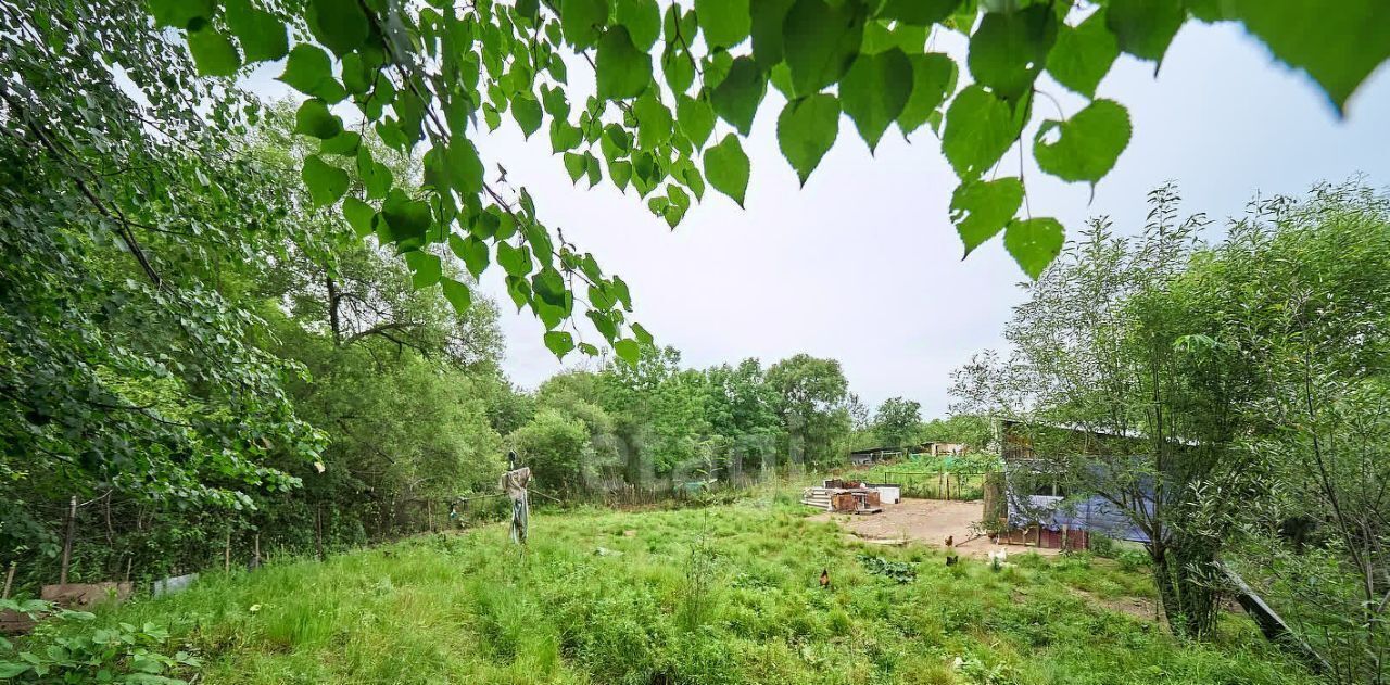 земля р-н Хабаровский с Матвеевка ул Большая березовая Тополевское с/пос фото 7