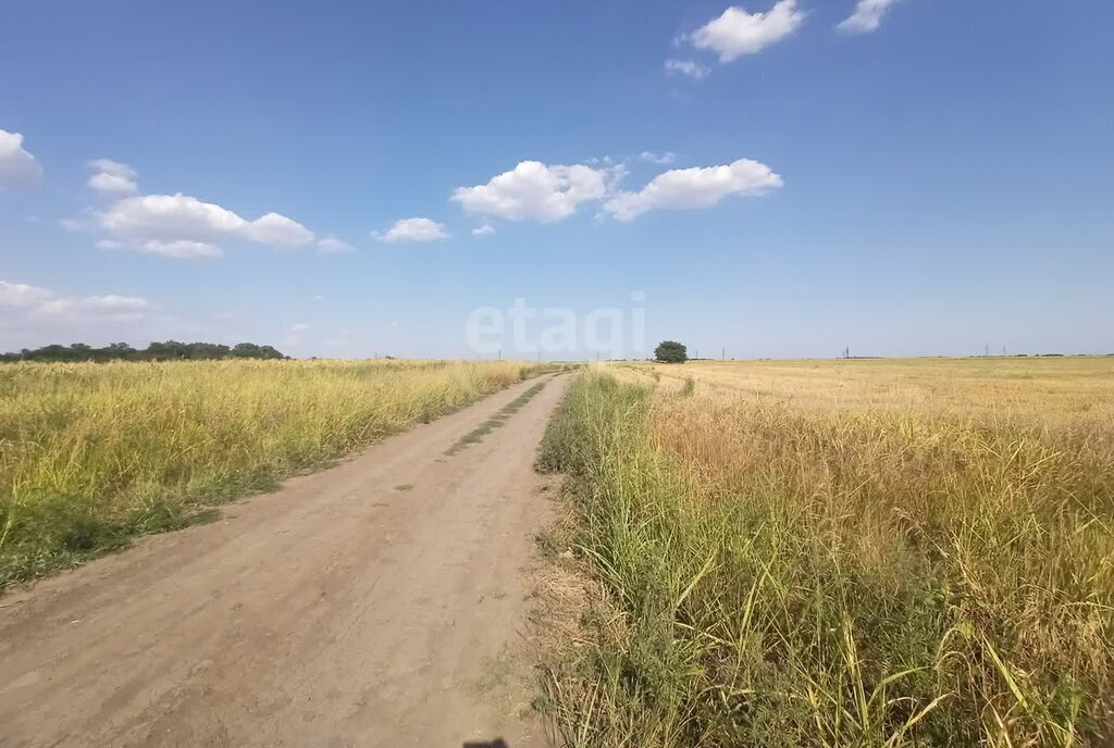 земля р-н Новокубанский п Прикубанский ул Полевая фото 5