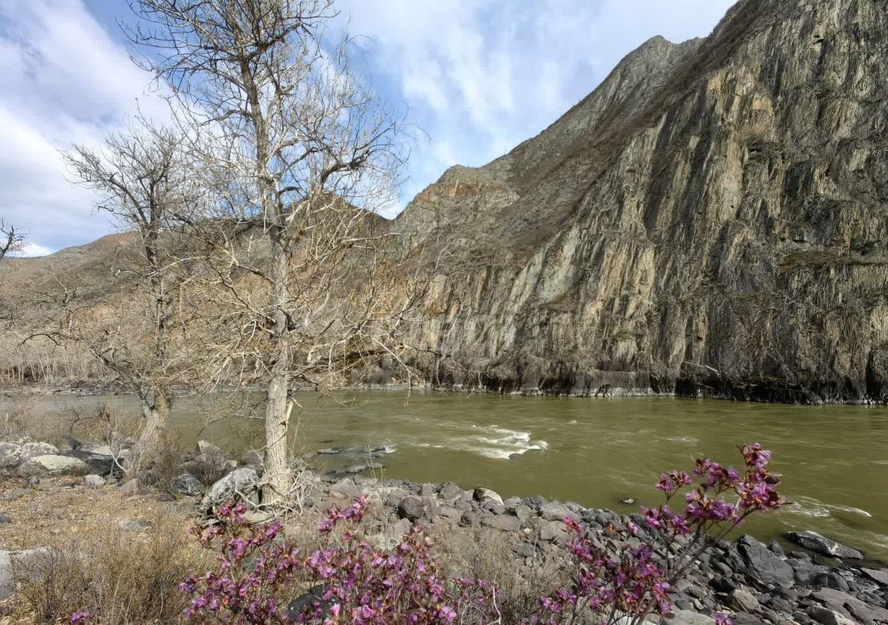 земля р-н Онгудайский с Иня Онгудай фото 4