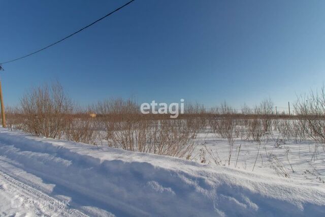 городской округ Тюмень, товарищество собственников недвижимости Большое Царёво-1 фото