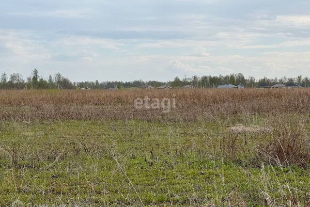 СОТ Озёрный, городской округ Нижневартовск фото