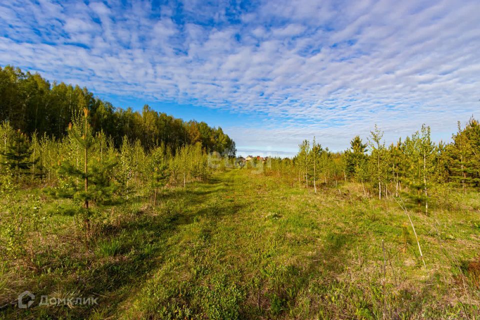 земля р-н Тюменский с Перевалово Коттеджный посёлок Зубарево Hills фото 1