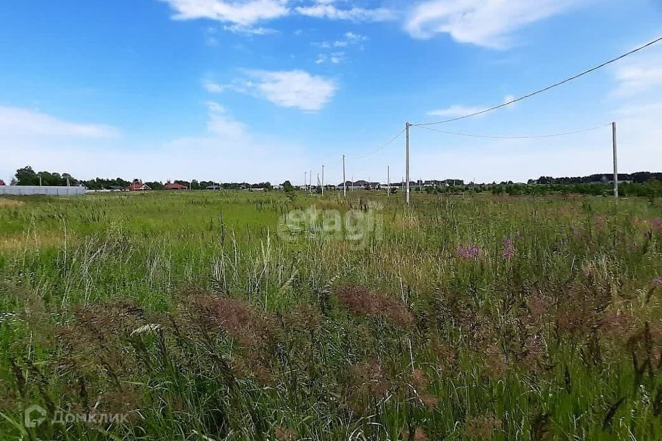 земля р-н Тюменский д Криводанова ул Трактовая фото 4