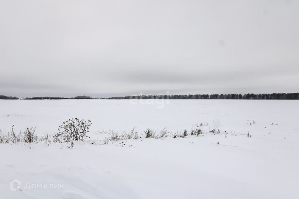 земля р-н Ленинский село Каменское фото 3