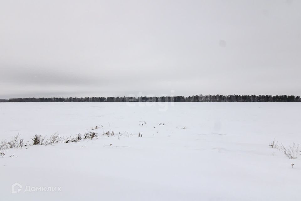 земля р-н Тюменский село Каменка фото 3