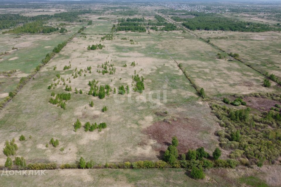 земля г Тюмень городской округ Тюмень, садовое товарищество Лаванда фото 3