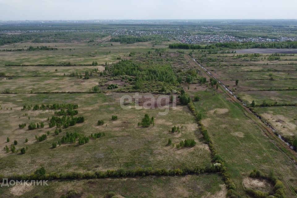 земля г Тюмень городской округ Тюмень, садовое товарищество Лаванда фото 4