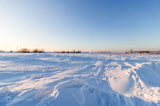 городской округ Тюмень фото