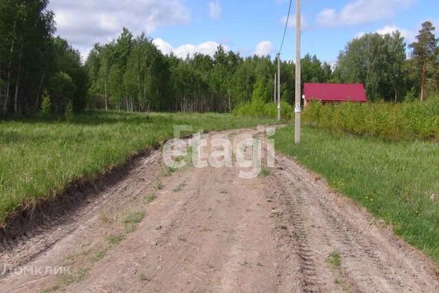 городской округ Тюмень, территория СОСН Солнечная Поляна фото