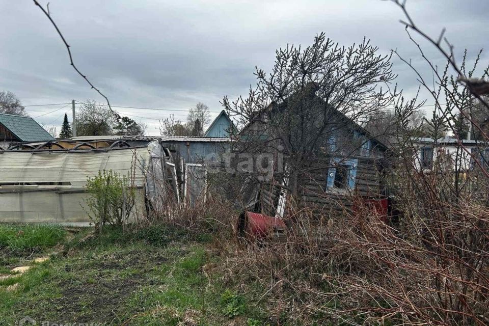 земля г Тюмень снт Геолог-1 городской округ Тюмень, Плодовая Геолог-1 с/о фото 4