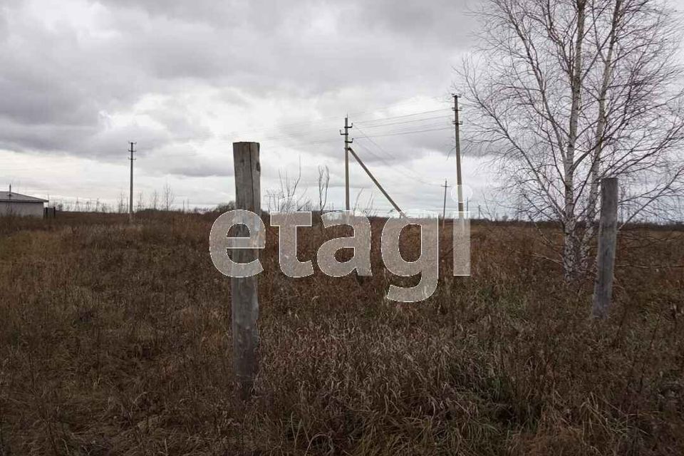 дом р-н Ярковский с Дубровное ул Новая фото 3